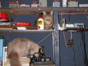 004 Digitalbetrieb in Enndingen